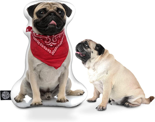 All About Vibe Custom Dog Pillow - Personalized Custom Shaped 3D Dog Throw Pillow, Best Gift for Dog & Pug Owners and Lovers! Made in USA - 10" Mini